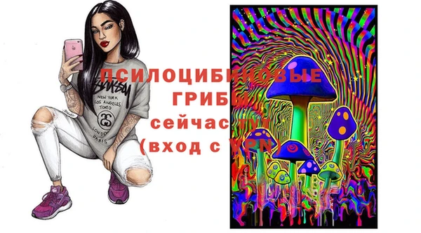 MDMA Вяземский