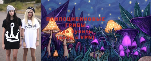 соль ск Горно-Алтайск