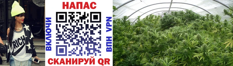 купить  цена  Заозёрск  Каннабис VHQ 